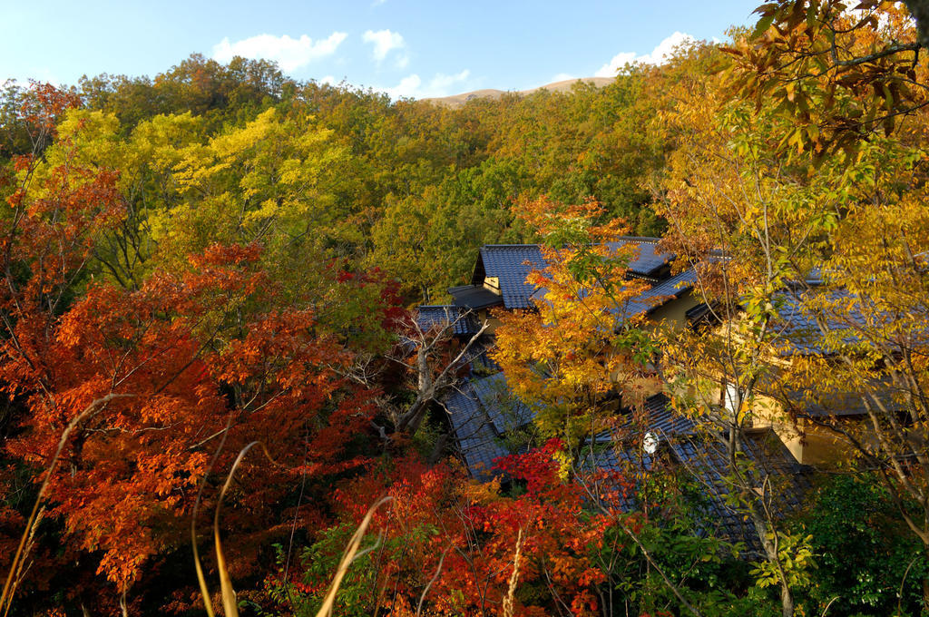 Yamamizuki Hotel Minamioguni Eksteriør billede
