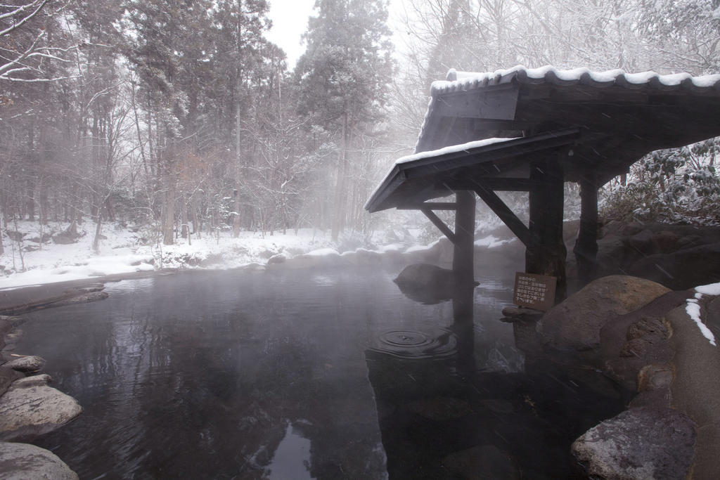 Yamamizuki Hotel Minamioguni Eksteriør billede